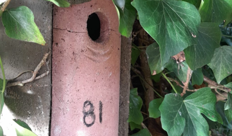Cleaning the bird boxes and bug hotels - November 2023 article image