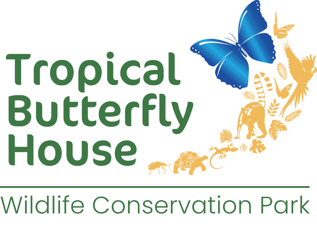 Tropical Butterfly House logo
